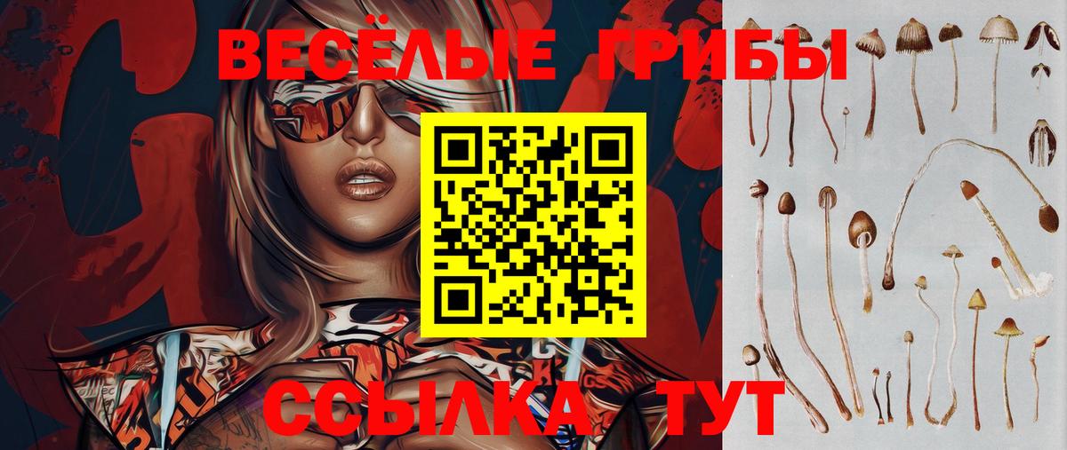 Воткинск  Галлюциногенные грибы ЛСД  Вход с VPN 