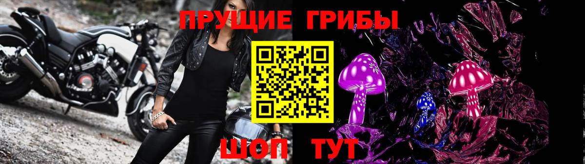 Псилоцибиновые грибы Cubensis Воткинск